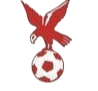 https://img.qdhffs.com/img/football/team/4802d26df935b78bb2fcdbbff36e8864.png